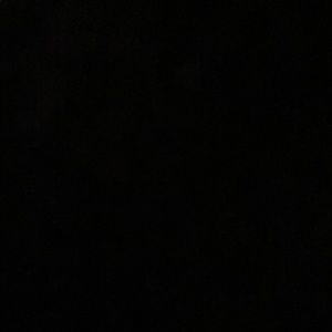 Meet your Posher, Maddy